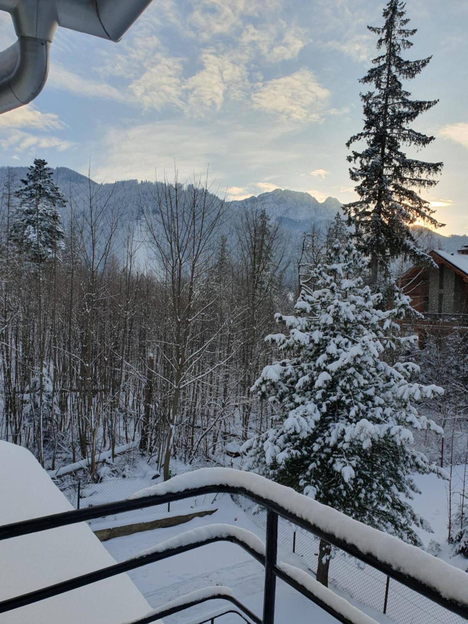 Asteria Apartamento Zakopane Exterior foto
