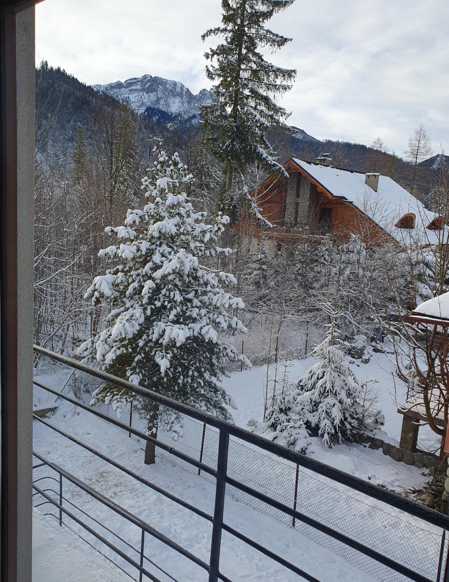 Asteria Apartamento Zakopane Quarto foto