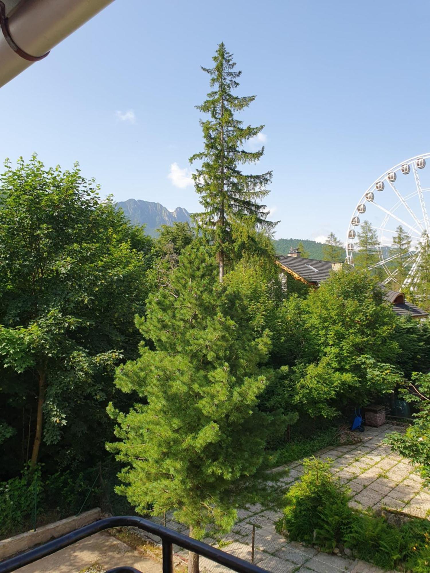 Asteria Apartamento Zakopane Quarto foto